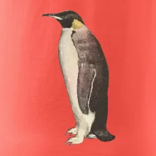 Tučniak kreslený vodovými farbami