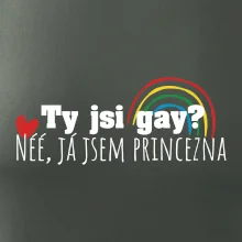 Gay princezna Gay princezna