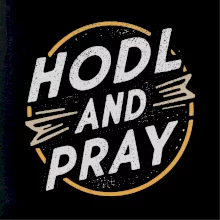 Bitcoin Hodl and pray
