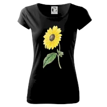 Slnečnica otočená