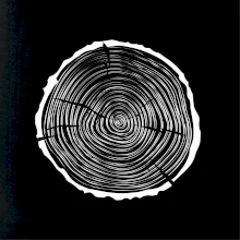 Letokruhy 35 bez veku