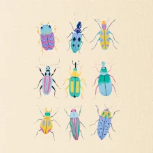 Farebné chrobáky (studio-arte.cz)