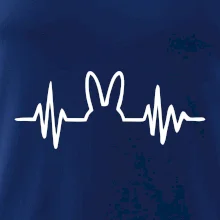 EKG zajac