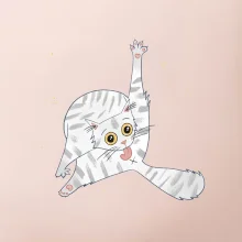 Mačka čistotná (studio-arte.cz)