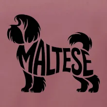 Maltézsky psík nápis v tele