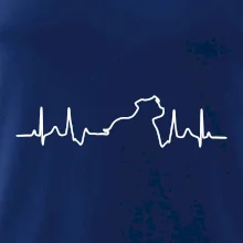 Stafordšírsky bulteriér ‎ EKG