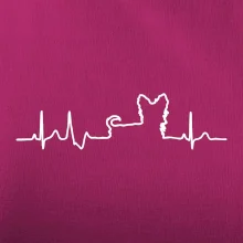 Yorkshirský teriér EKG