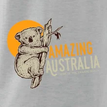 Amazing Australia koala Amazing Australia koala