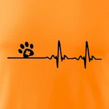 Veterinár EKG