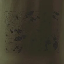 Listy viniča tapeta