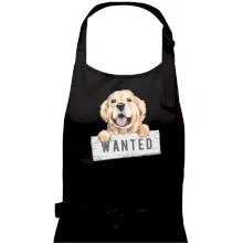 Zlatý retriever - šteniatko wanted