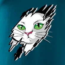 Kočka v roztrženém triku