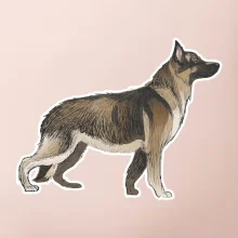 Nemecký ovčiak - hnedý kreslený