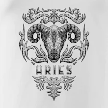 Aries - vintage Aries - vintage