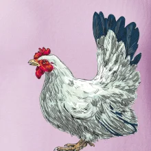 Sliepka kreslená biela