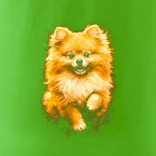 Obrázok poltón Pomoranský špic