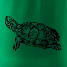 Ceruzkou kreslená korytnačka