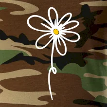 Kopretina - dole na výšku