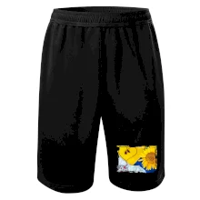 Ukrajina slnečnice a kroj Ukrajina slnečnice a kroj