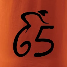 Cyklista oslavuje šesťdesiatpäťku (65)