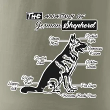 Nemecký ovčiak - Anatómia