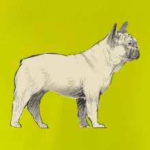 Vintage French bulldog