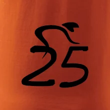 Cyklista oslavuje dvadsaťpäťku (25)