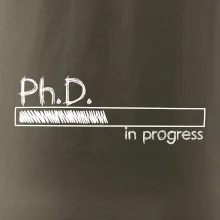 In progress titul Ph.D. doktor / doktorka (filozofia)