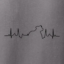 Stafordšírsky bulteriér ‎ EKG