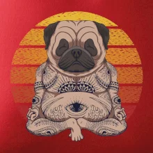Yoga meditace - pug