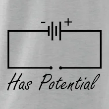 Has potential Has potential