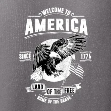 Welcome To America Welcome To America