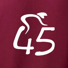 Cyklista oslavuje štyridsaťpäťku (45)