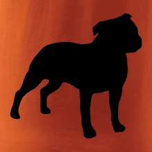 Americký stafordšírsky teriér Na prsníku