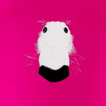 Barzoj čumák (Moňas)