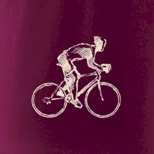 Cyklista cestárkár