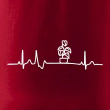 EKG Filodendron EKG Filodendron