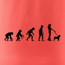 Lagotto romagnolo Evolúcia