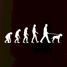 Evolúcia pes stavač Evolúcia pes stavač