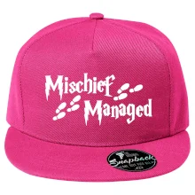 Harry - Mischief Managed