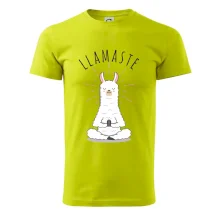 Yoga Llamaste Yoga Llamaste