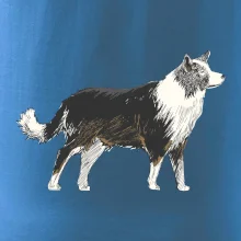 Border kólia kreslená