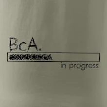 In progress titul BcA. bakalár / bakalárka umenia