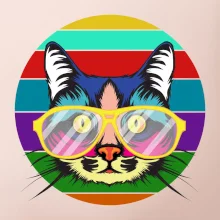 Mačka pri farebnom západe