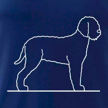 Lagotto romagnolo stojaci