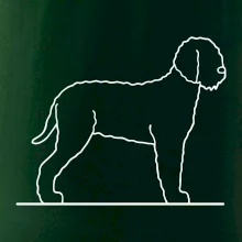 Lagotto romagnolo stojaci