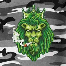 Zhulený lev zelený