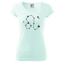 Súhvezdie - Leo - Lev Súhvezdie - Leo - Lev