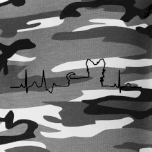 Yorkshirský teriér EKG