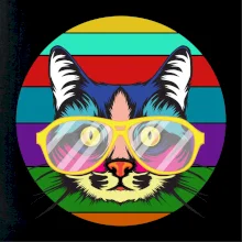 Mačka pri farebnom západe Mačka pri farebnom západe